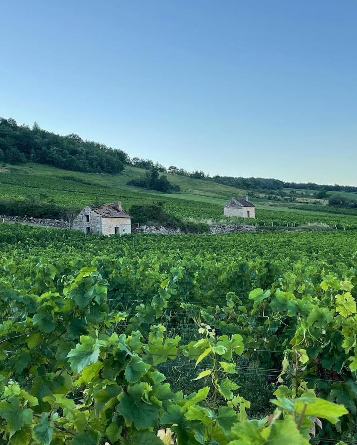 Le Clos De Miribel Givry  المظهر الخارجي الصورة