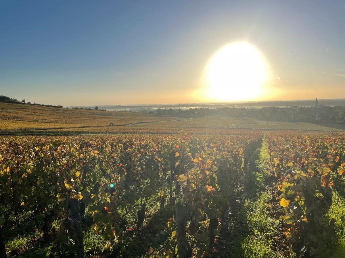 Le Clos De Miribel Givry  المظهر الخارجي الصورة
