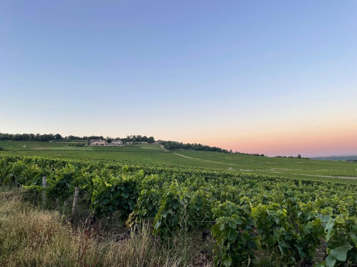 Le Clos De Miribel Givry  المظهر الخارجي الصورة