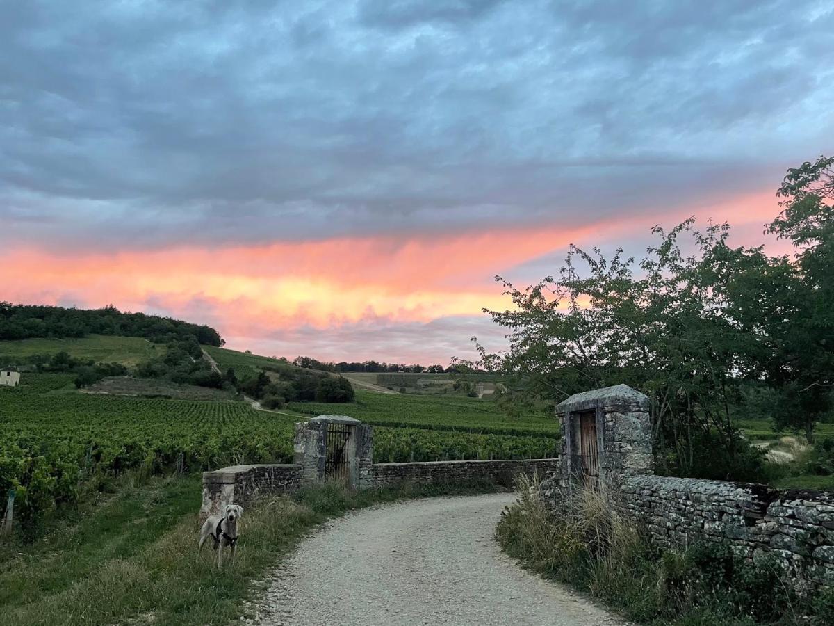 Le Clos De Miribel Givry  المظهر الخارجي الصورة